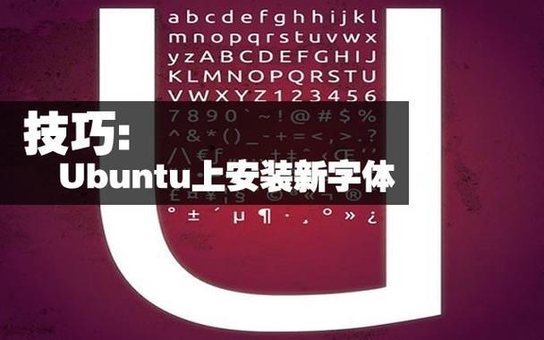 服务器字体设置为中文的方法是什么？常见问题有哪些？