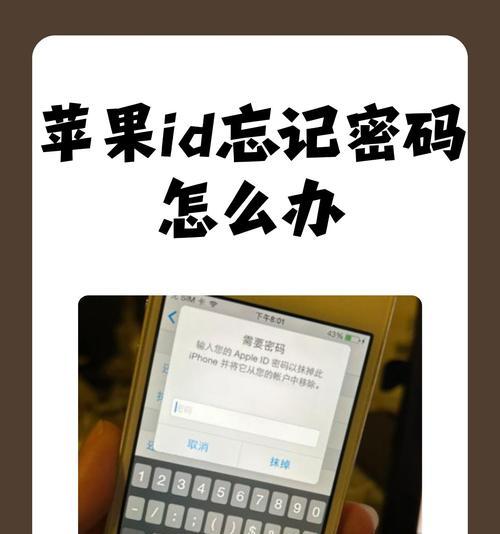 苹果手机如何设置密码？设置密码有哪些安全提示？