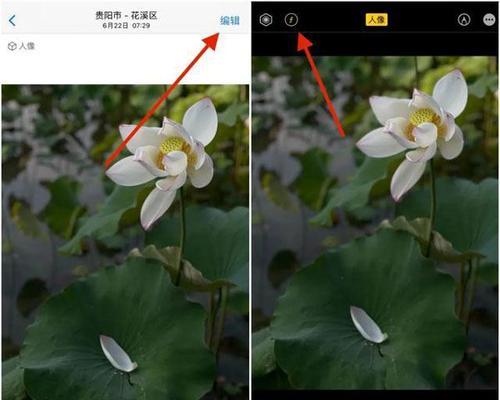 苹果手机背景颜色怎么调？有哪些技巧？