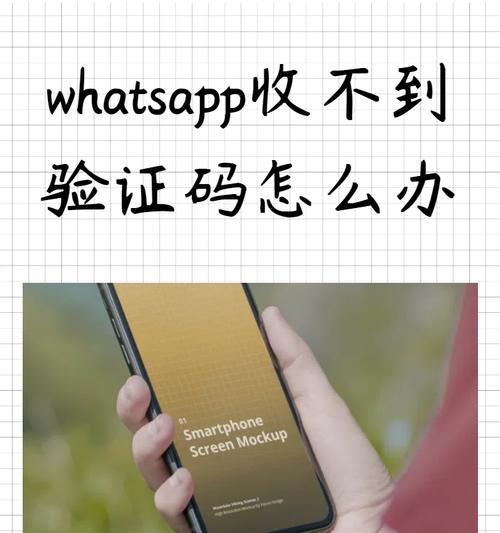 龙巴克鱼缸怎么连接Wifi？连接过程中可能遇到哪些问题？