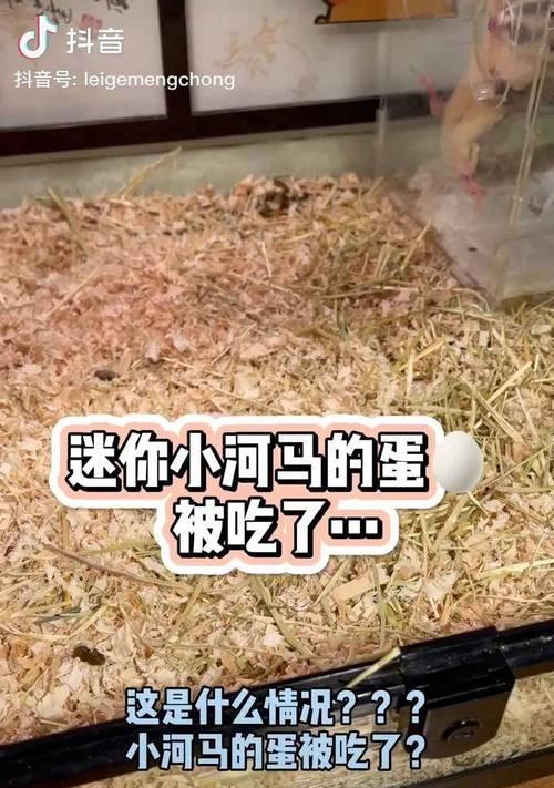 河马手机壳补卡的步骤是什么？
