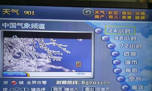 电视机只显示一半的原因及解决方法（探究电视机画面只显示一半的原因以及如何解决这一问题）