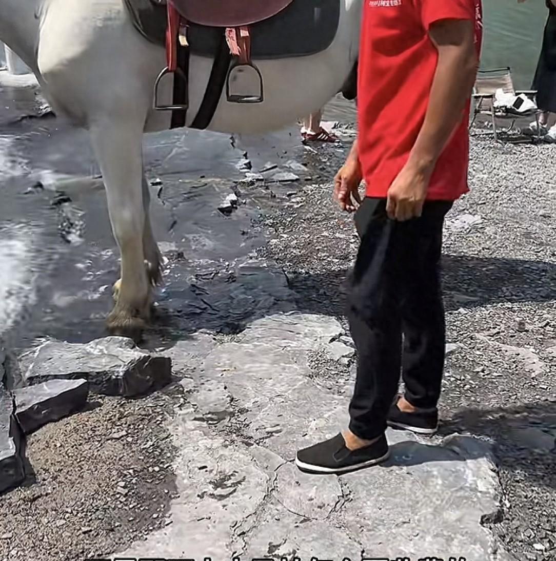 吃相难看！徐州一景区马匹入镜被要求收费站旁边也不行！景区回应
