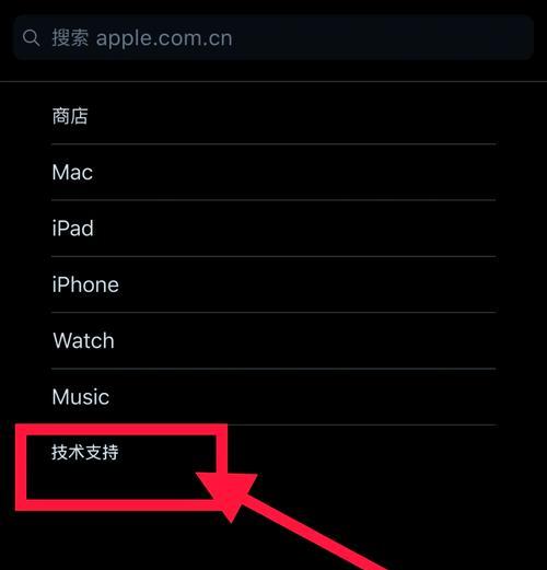 苹果查询序列号官网入口指南（快速查找苹果产品序列号的步骤与技巧）