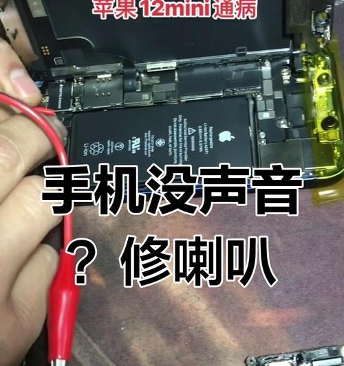 苹果喇叭进水了有杂音怎么办（教你轻松解决苹果喇叭进水杂音问题）