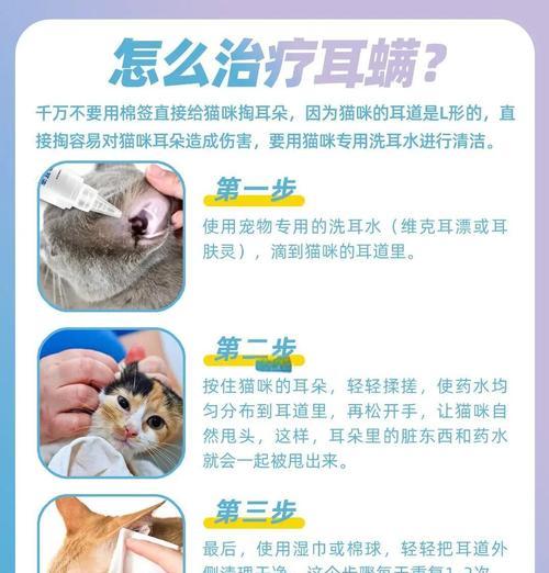 耳机被小猫咬坏的修复方法是什么？预防措施有哪些？