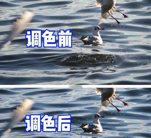 随拍时如何调整相机的色彩设置？