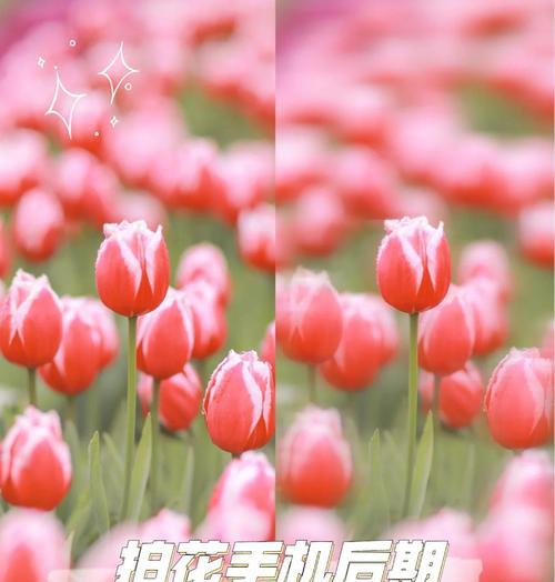 相机拍摄虚化的技巧是什么？如何控制虚化效果？