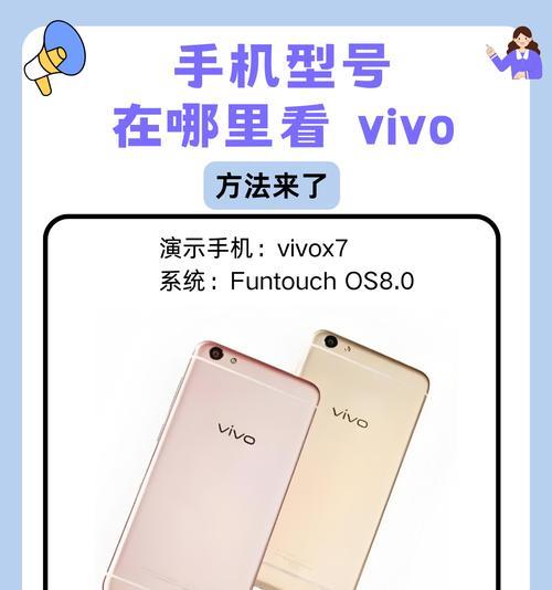 vivo手机型号查看指南（轻松掌握vivo手机型号查看方法）