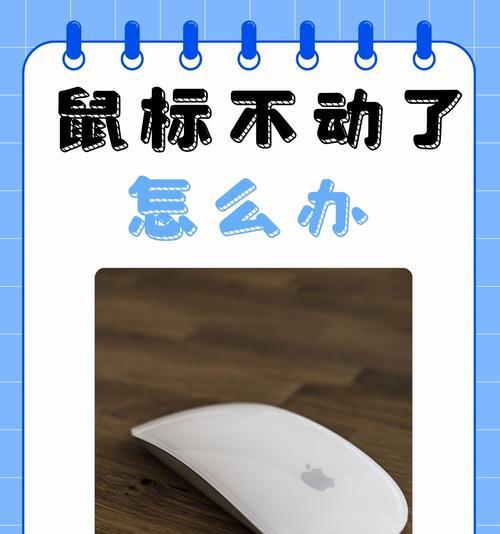 电脑鼠标箭头颤抖解决方法（如何消除电脑鼠标抖动问题）