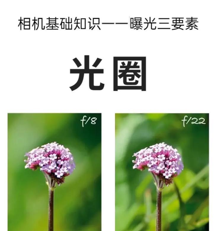手机相机光圈调整方法（教你轻松掌握光圈调整技巧）