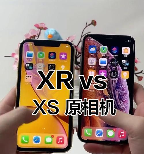 iPhoneXS与iPhoneXR对比（挑选适合自己的苹果手机需求）