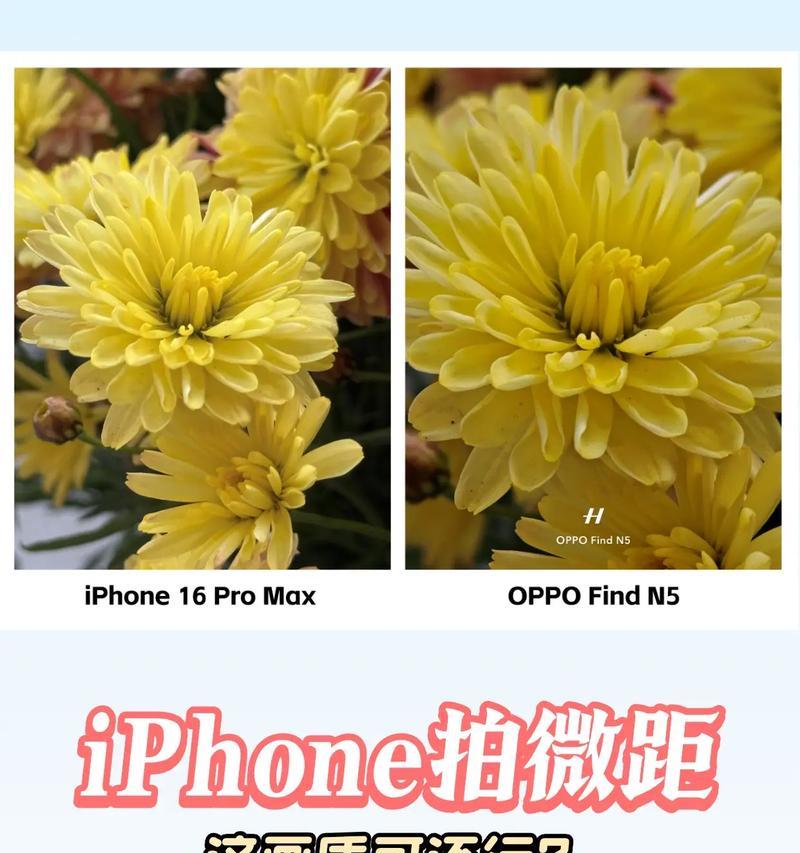 苹果微距摄影指南（用苹果拍出令人惊叹的微距世界）