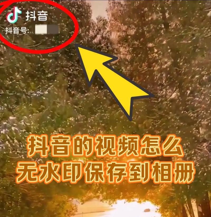 抖音视频无法保存的原因及解决方法（从设置和网络环境两方面分析）