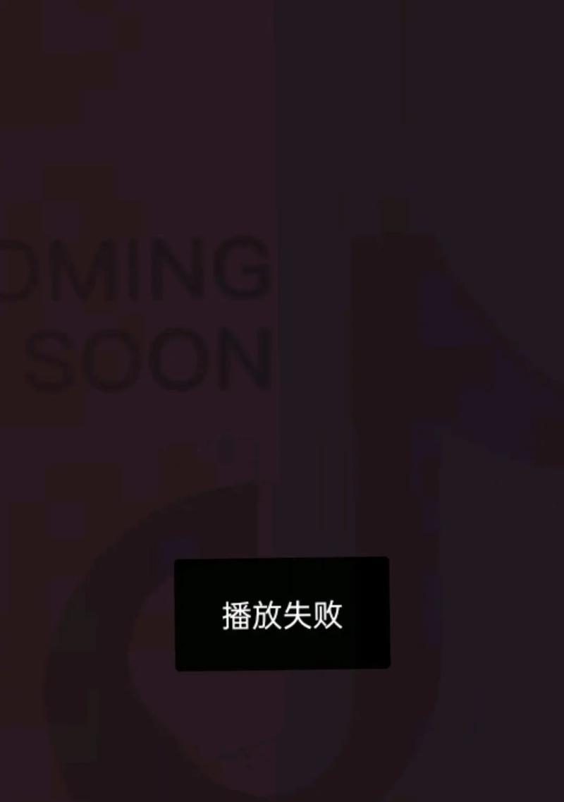 电脑无法播放视频的解决方法（如何解决电脑无法播放视频的问题）
