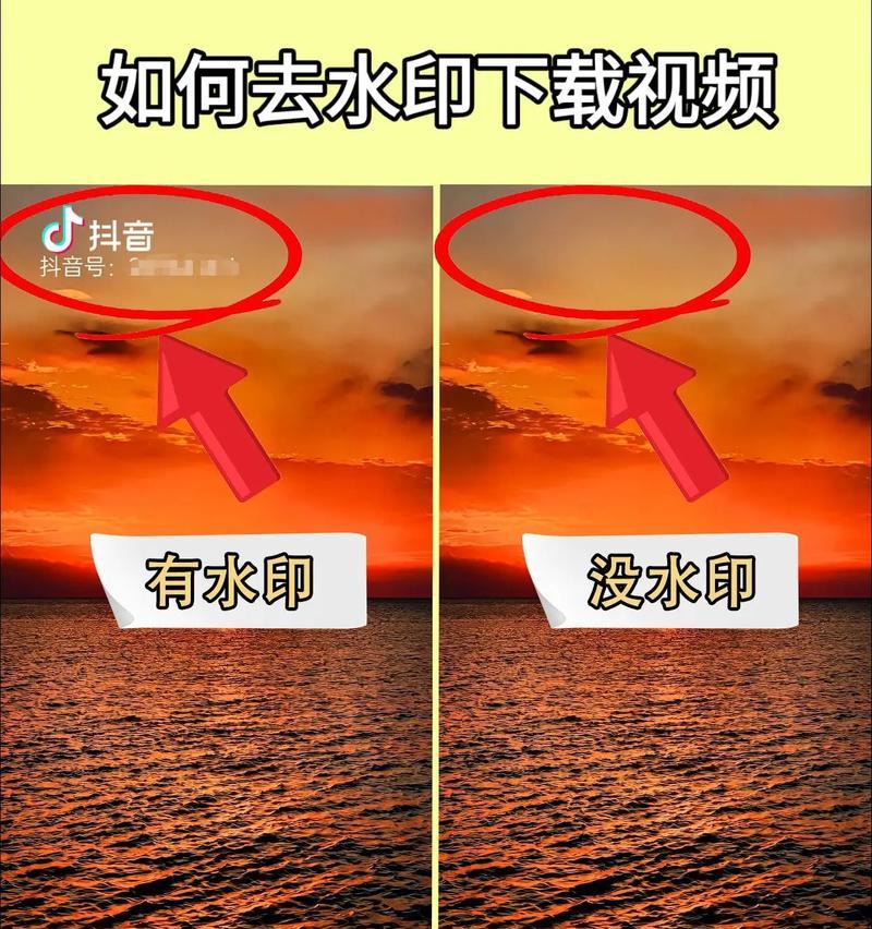 教你如何下载无水印的抖音视频（去除水印后再分享）