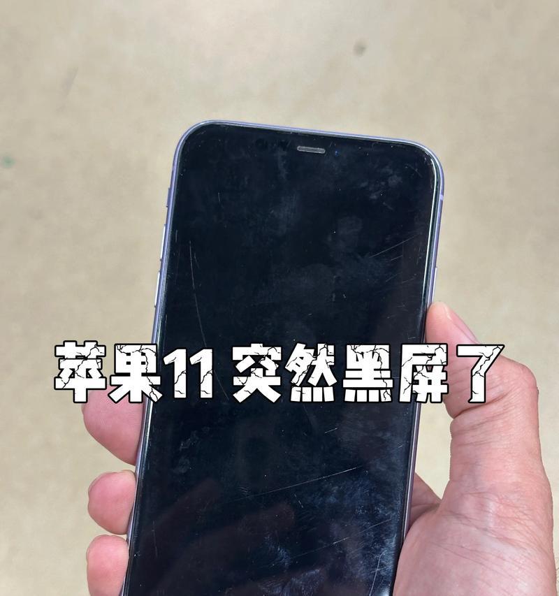 苹果手机黑屏故障排查与修复方法(如何解决苹果手机突然黑屏打不开的问题)